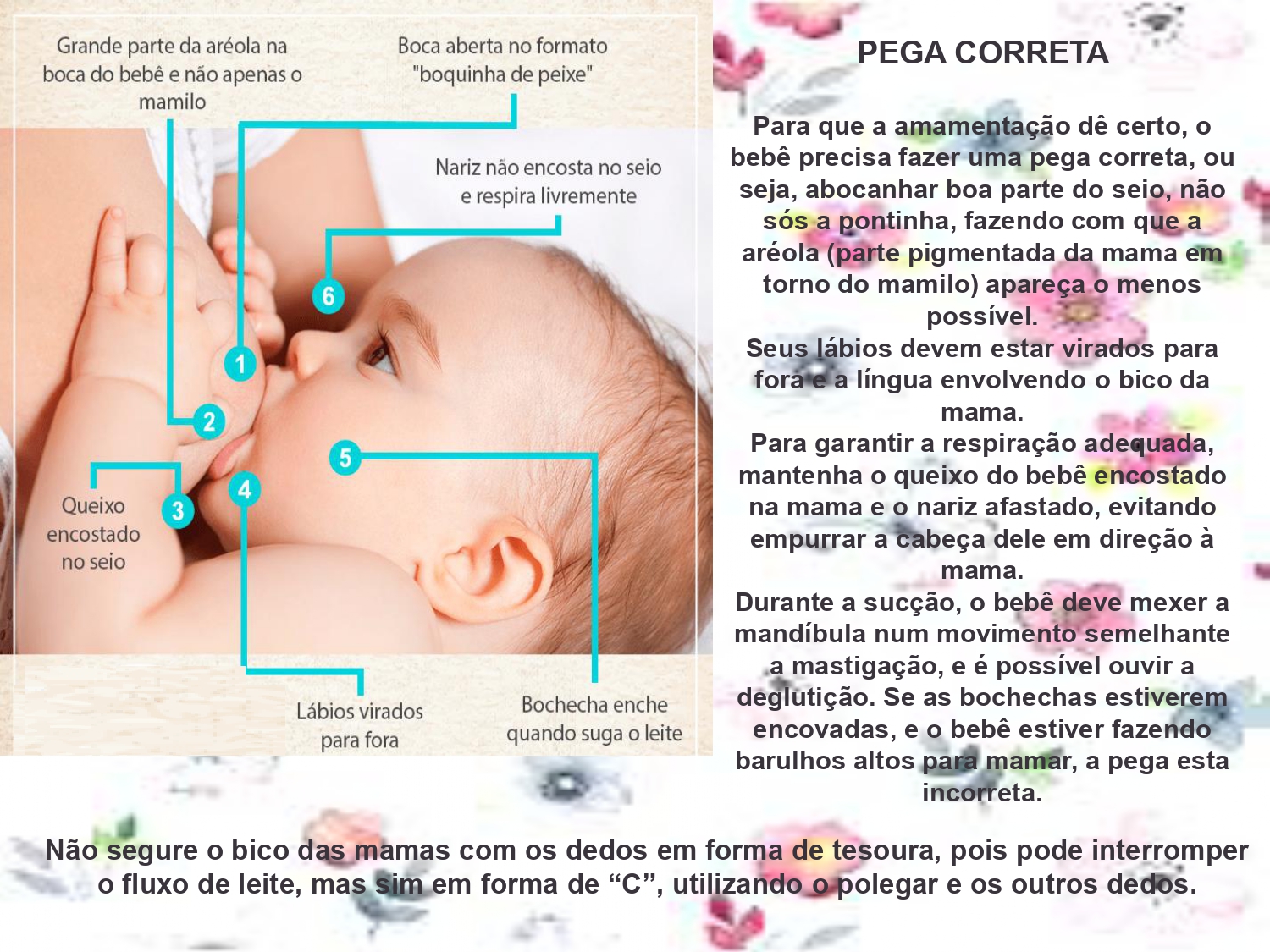 AMAMENTAÇÃO
